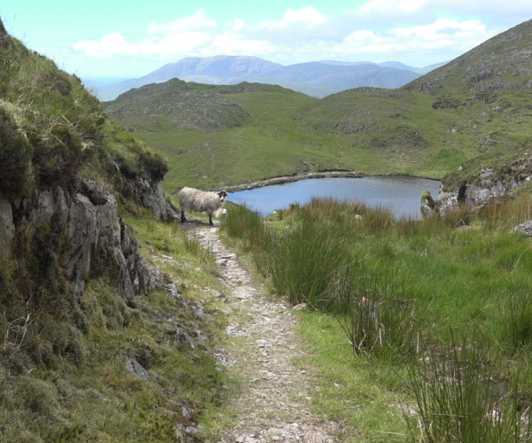 The Beara Way